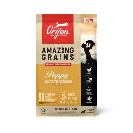 Orijen Amazing Grains Puppy Dry Dog Food 1