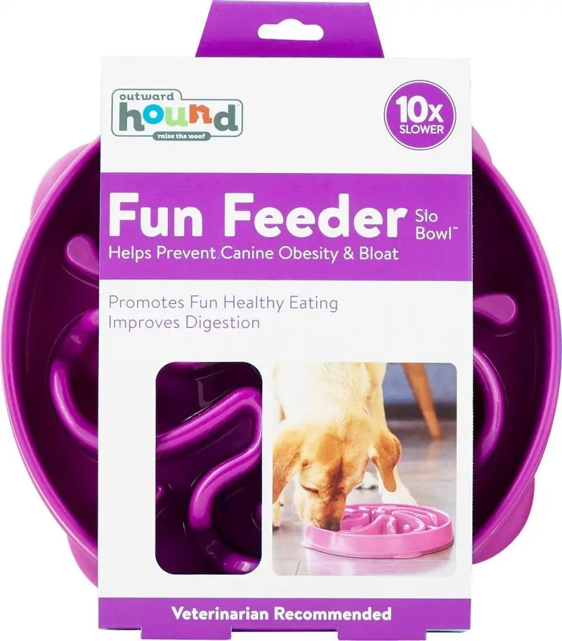 Outward Hound Dog Games Slo Bowl Slow Feeders Flower Design Dog Bowl 2