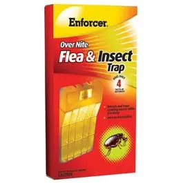 Overnite Flea Trap 1