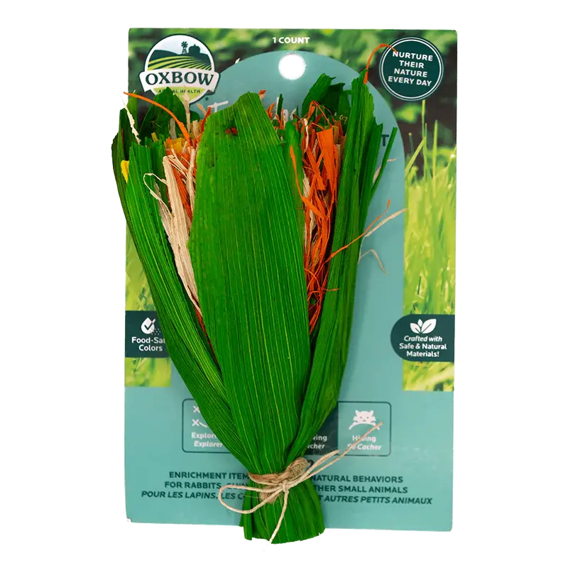 Oxbow Animal Health Enriched Life - Celebration Boquet 1