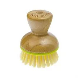 Palm Dish Brush 1