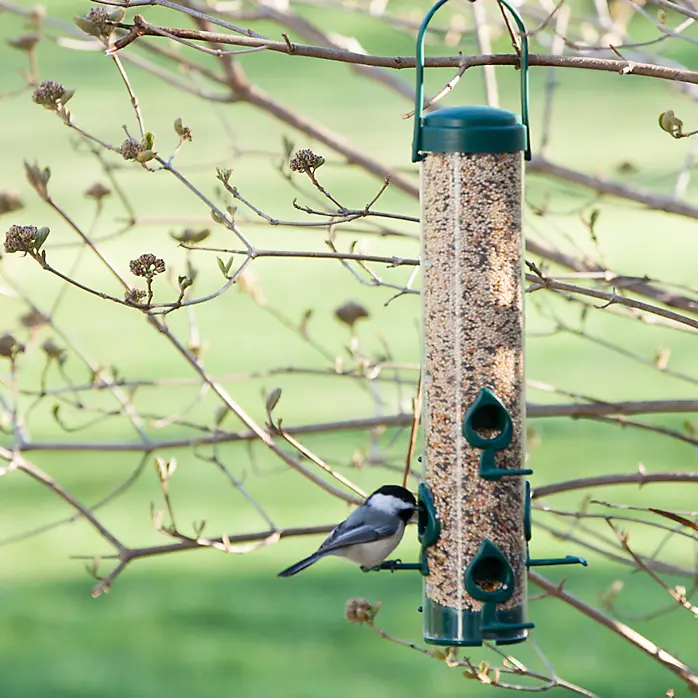 Perky-Pet® Classic Wild Bird Feeder 1