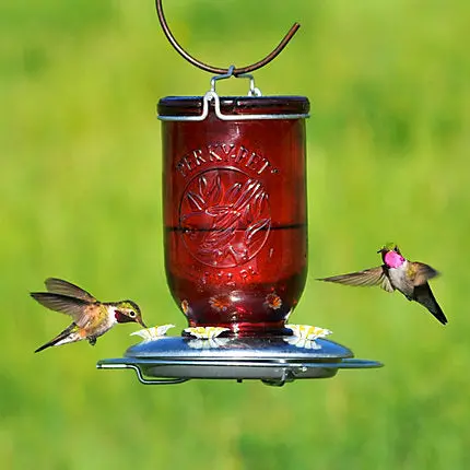 Perky-Pet® Red Mason Jar Glass Hummingbird Feeder - 32 Oz Nectar Capacity 1