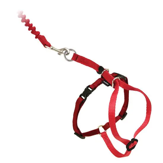 Petsafe Come With Me Kitty™ Cat Harness & Bungee Leash 1