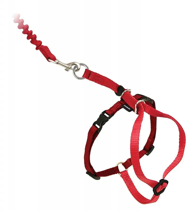 Petsafe Come With Me Kitty Red & Cranberry Harness And Bungee Leash For Cats 1
