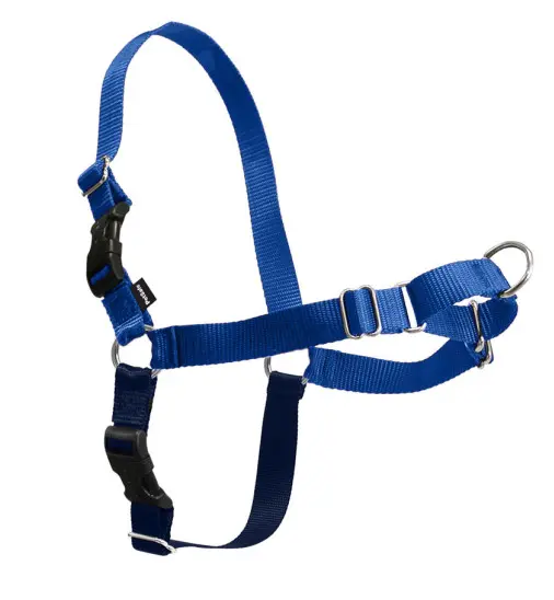 Petsafe Easy Walk Royal Blue & Navy Dog Harness 1