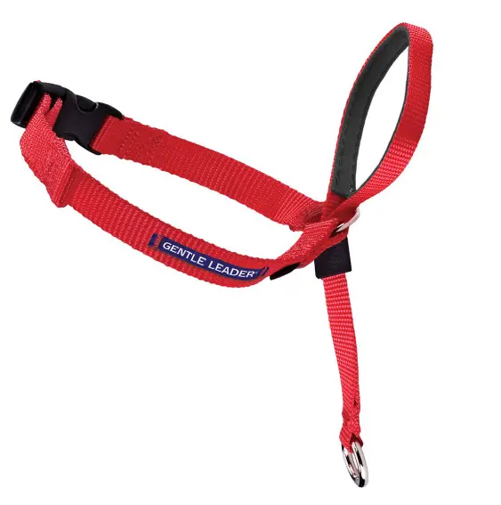Petsafe Gentle Leader Quick Release Red Headcollar For Dogs 1