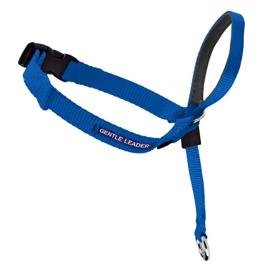 Petsafe Gentle Leader Quick Release Royal Blue Headcollar For Dogs 1
