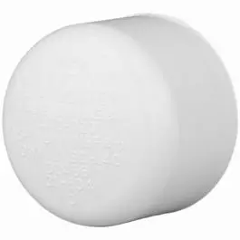Pipe Cap Slip, White Pvc, 4-In. 1