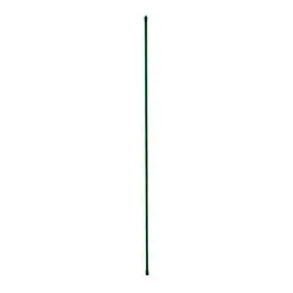 Plant Stake, Plastic Coated Steel, 5-Ft. 1
