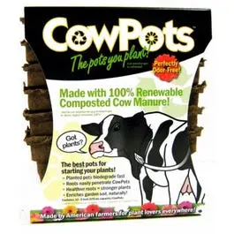 Plantable Pots, Square, 3-In., 12-Pk. 1