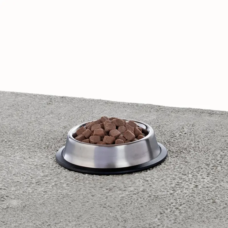 Primal Pet Foods Feline Raw Frozen Pronto 1