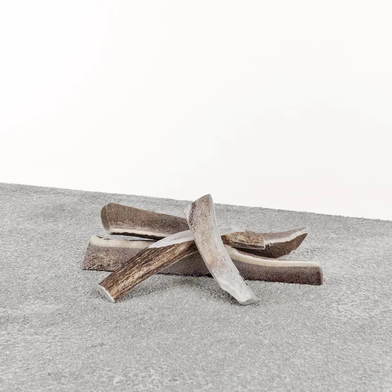 Primal Stag Antler Chew for Dogs – Durable Natural Bone Alternative