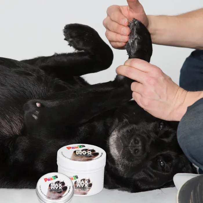 Protex Pawz Pawz Maxwax 1