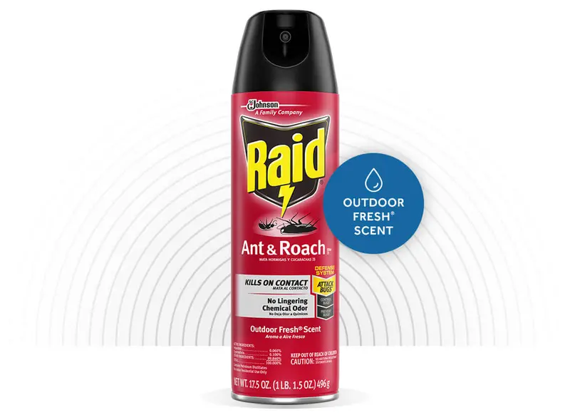Raid ® Ant & Roach Killer 26 17.5 Oz 1