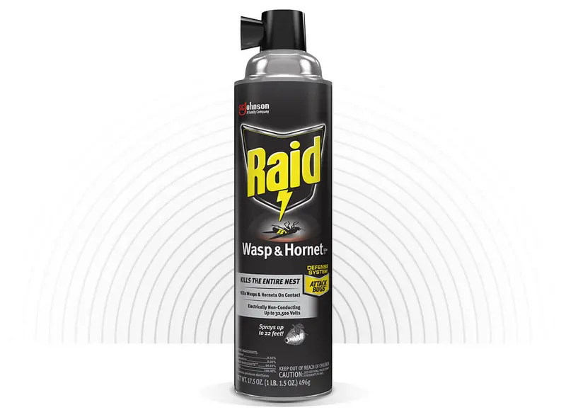Raid® Wasp & Hornet Killer 33 1