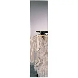 Rectangle Frameless Door Mirror, 14 X 54-In. 1
