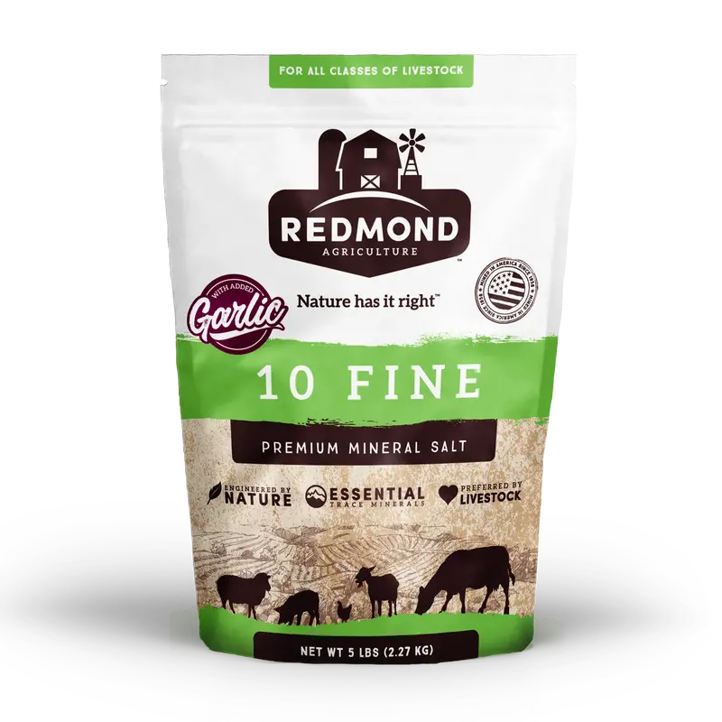 Redmond Mineral Salt 10 Fine With Garlic 1