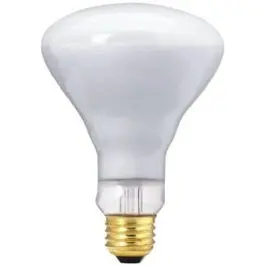 Reflector Flood Light Bulb, 50-Watts 1