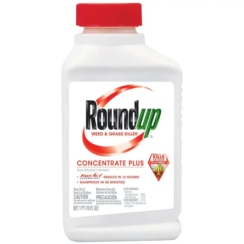Roundup® Weed & Grass Killer₄ Concentrate 1