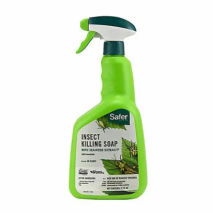 Safer® Brand Insect Killing Soap With Seaweed Extract Rtu 1