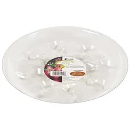 Saucer Plus, 12-In. 1