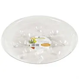 Saucer Plus, 6-In. 1