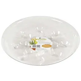 Saucer Plus, 8-In. 1