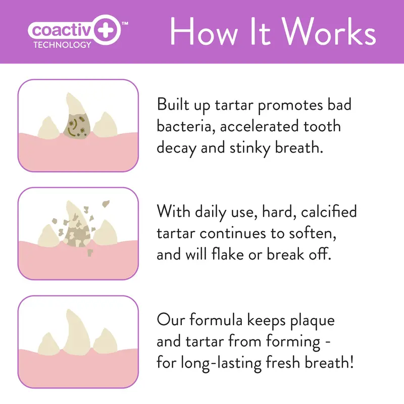Skout's Honor Oral Care Dental Wipes 2