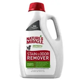 Stain & Odor Remover, 1-Gal. 1