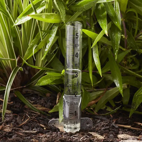 Taylor Glass Rain Gauge 2