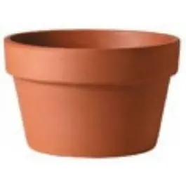 Terra Cotta Clay Pot, Azalea, 4-In. 1