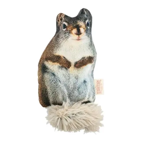 Territory Floppy Squirrel Dog Toy 1