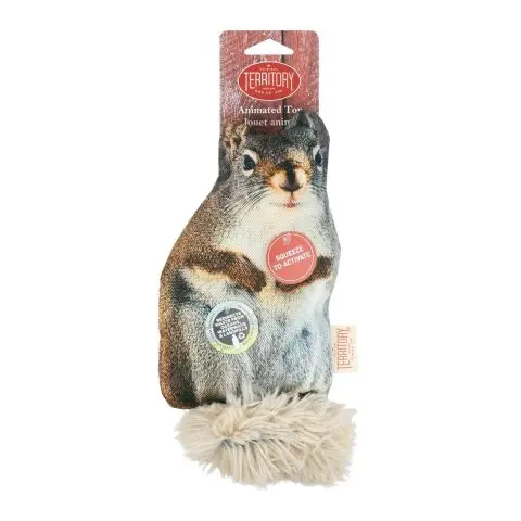 Territory Floppy Squirrel Dog Toy 2