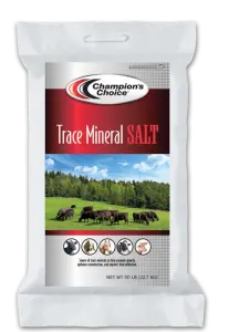 Trace Mineral Salt 1