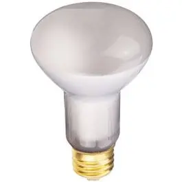 Track Reflector Flood Light Bulb, Incandescent, 45-Watts 1