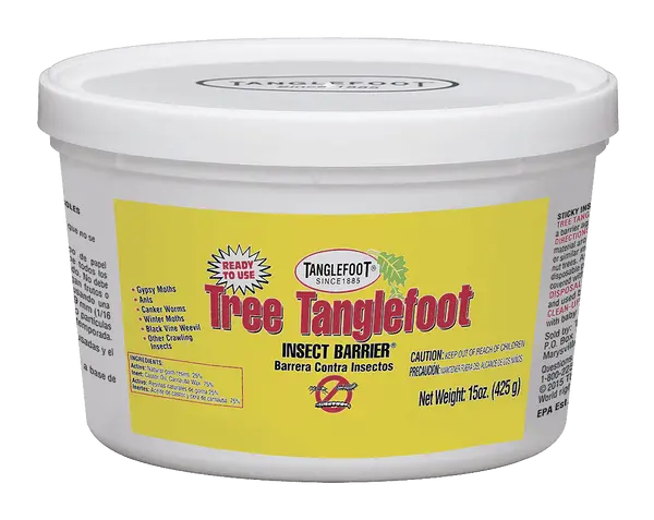 Tree Tanglefoot® Insect Barrier 1