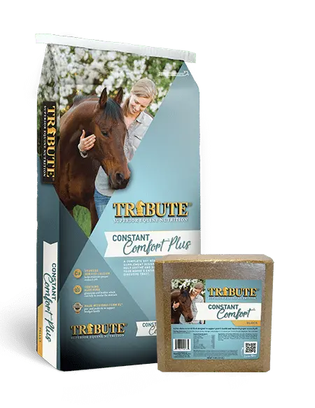 Tribute Constant Comfort® Total Gut Health Supplement System 1