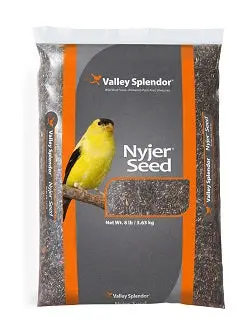 Valley Splendor Nyjer Seed 1