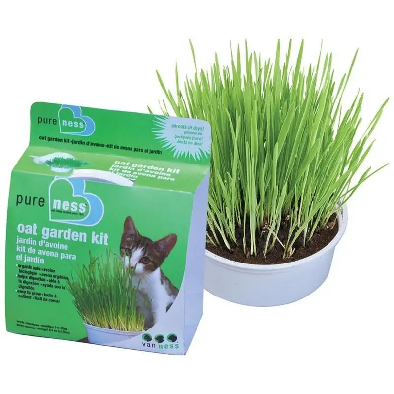 Van Ness Oat Garden Kit 1