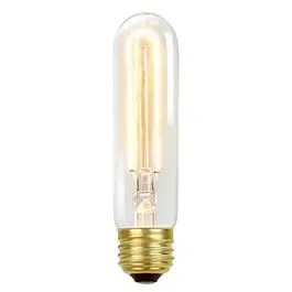 Vintage Edison Light Bulb, T10, Tinted Globe, 60-Watts 1