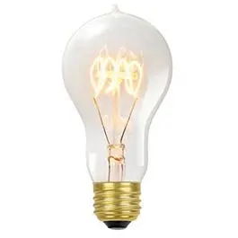 Vintage Edison Light Bulb, Tinted Glass, A19, 60-Watts 1
