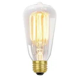 Vintage Edison Light Bulb, Tinted Glass, S60, 60-Watts 1