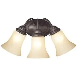Wall Light Fixture, Indoor, Oil Rubbed Bronze & Aged Alabaster Glass, 60-Watt, 17.25 X 8.875-In. 1
