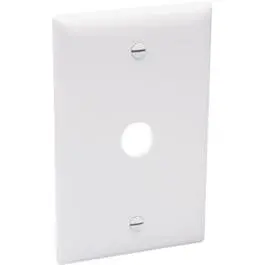 Wall Plate, Telephone/Cable-Outlet, White Thermoplastic 1