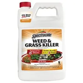 Weed & Grass Killer, 1-Gallon Concentrate 1