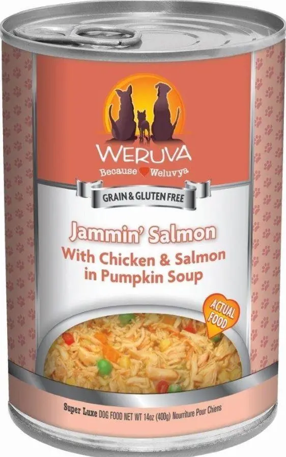 Weruva Jammin’ Salmon With Chicken & Salmon In Pumpkin Soup Dog Food 1