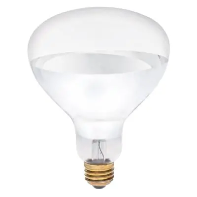 Westinghouse 250 Watt R40 Incandescent Light Bulb 1