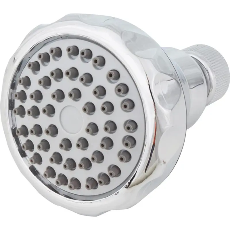 Wheldon Blaster 2.5 Gpm 48-Jet Fixed Showerhead, Chrome 1