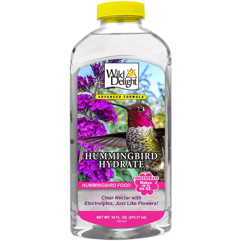 Wild Delight Hummingbird Hydrate Concentrate 1